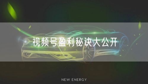视频号盈利秘诀大公开