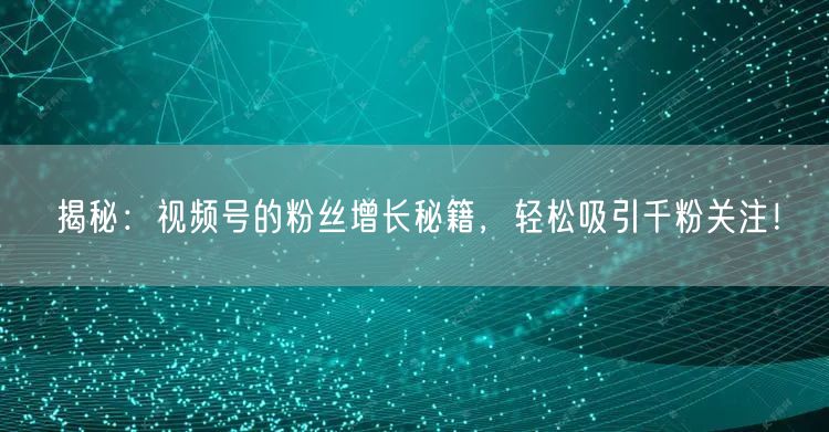 揭秘：视频号的粉丝增长秘籍，轻松吸引千粉关注！