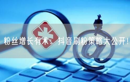 粉丝增长有术：抖音刷粉策略大公开！