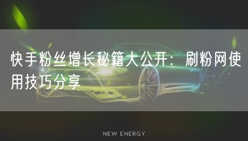 快手粉丝增长秘籍大公开：刷粉网使用技巧分享