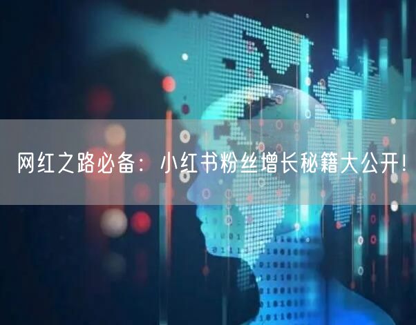 网红之路必备：小红书粉丝增长秘籍大公开！